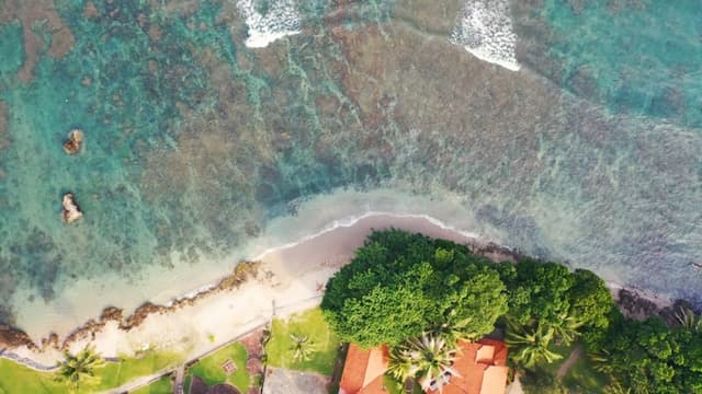 Tropical Shore Aerial, a Nature live wallpaper for Mac