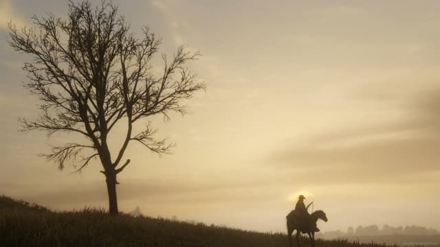 Arthur Morgan At Dusk, a Gaming live wallpaper for Mac