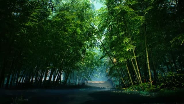 Zen Bamboo Forest Path, a Nature live wallpaper for Mac