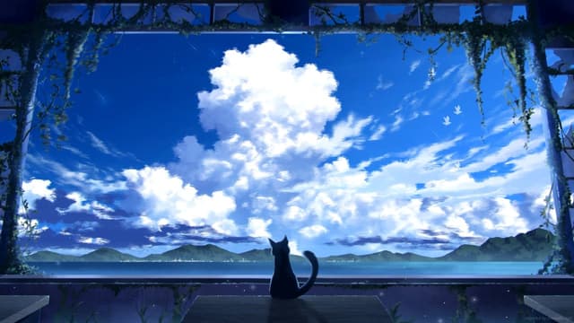 Cat Watching the Sky, a Others live wallpaper for Mac