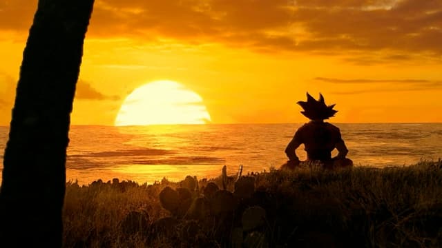 Goku Sunset Meditation, a Anime live wallpaper for Mac