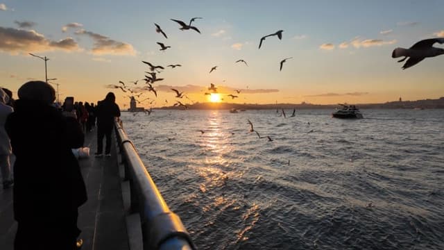 Istanbul Sunset Ferry, a Nature live wallpaper for Mac