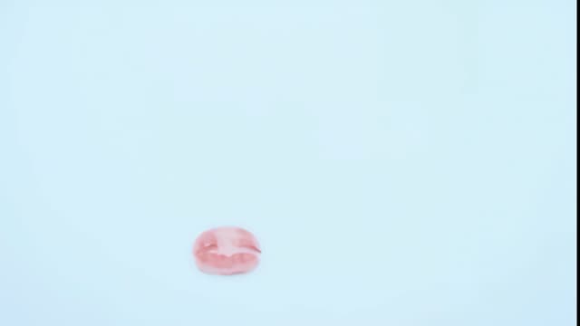 Pastel Jellyfish Drift, a Nature live wallpaper for Mac