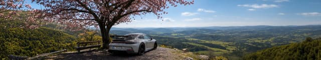 Porsche 911 Gt3 Sakura Drive, a Cars live wallpaper for Mac
