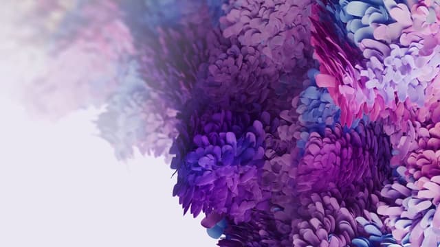 Purple Bloom Swirl, a Nature live wallpaper for Mac