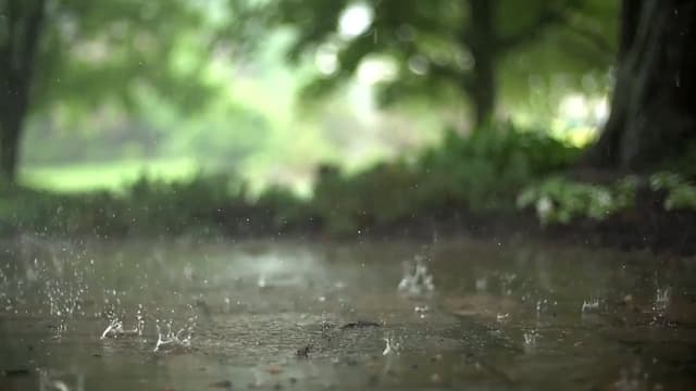 Rain Droplets on Pavement, a Nature live wallpaper for Mac