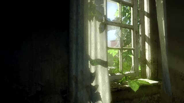 Sunlit Abandoned Window, a Nature live wallpaper for Mac