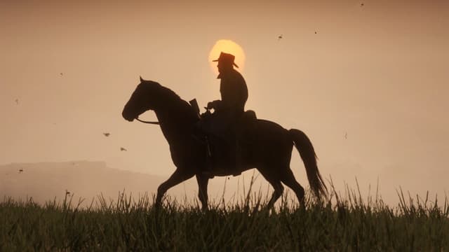 Sunset Horse Silhouette, a Nature live wallpaper for Mac