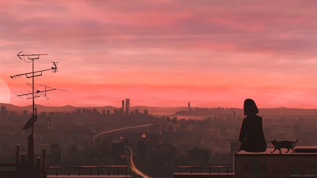 Sunset Rooftop Silhouette, a Dark live wallpaper for Mac