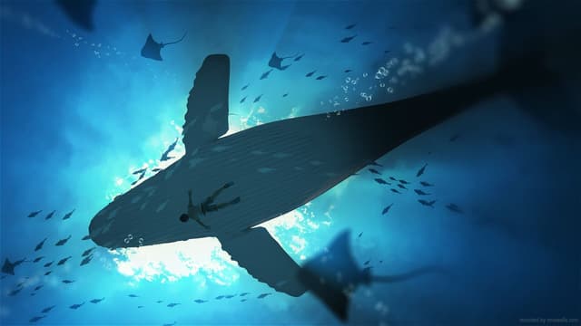 Whale Underwater Drift, a Nature live wallpaper for Mac